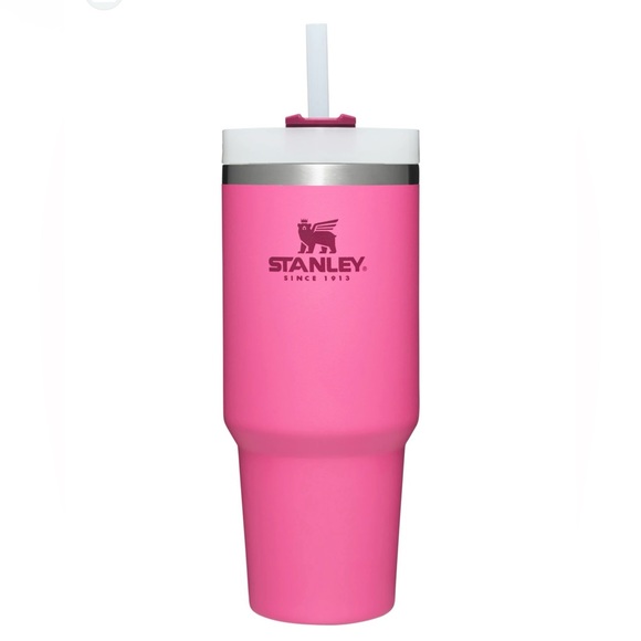 🆕 Stanley Quencher 30-fl oz Stainless Steel Insulated Water Bottle - Picture 1 of 10